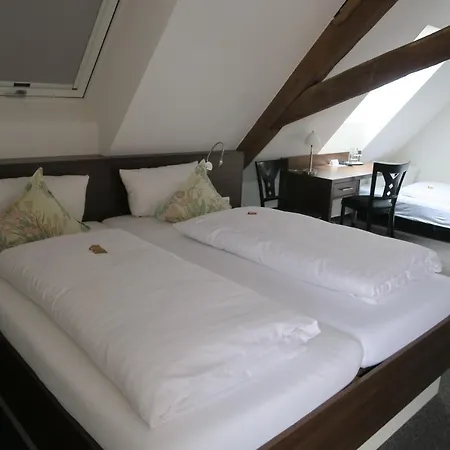 Otel Zum Baeren